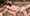 Rencontre Parisienne 16
