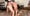 Rencontre Parisienne 17