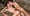 Rencontre Parisienne 33