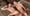 Rencontre Parisienne 34