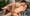 Dick Tok Bastien et Raphael 17