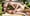 Sun Sex and Cum 44